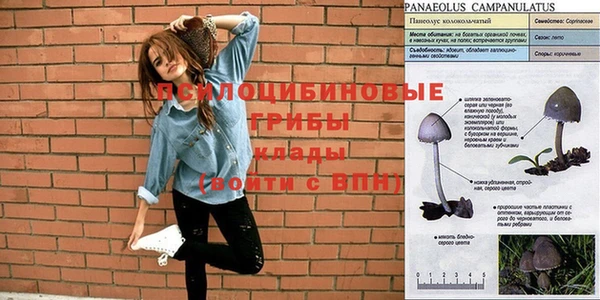 наркотики Заволжье