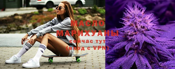 дмт Заводоуковск