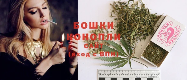 дмт Заводоуковск
