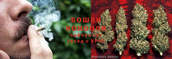 дмт Заводоуковск