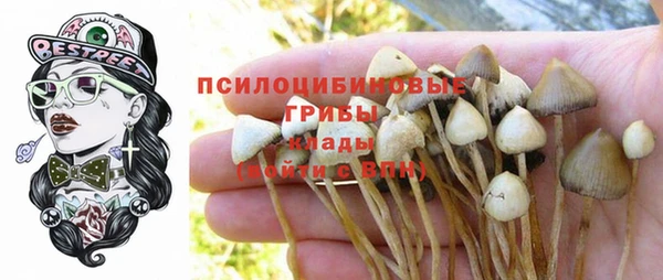 дмт Заводоуковск