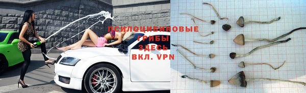соль ск Заволжск