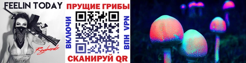 Галлюциногенные грибы мицелий Каменногорск